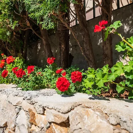 Mirjana * Trogir